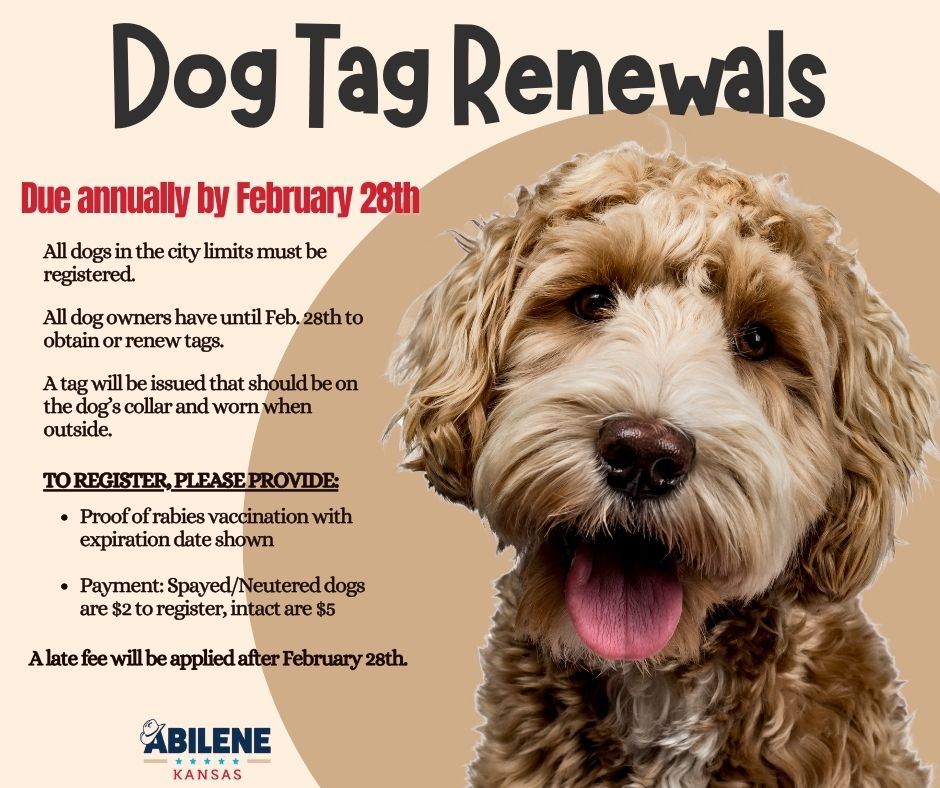 Dog Tag Renewal Notice