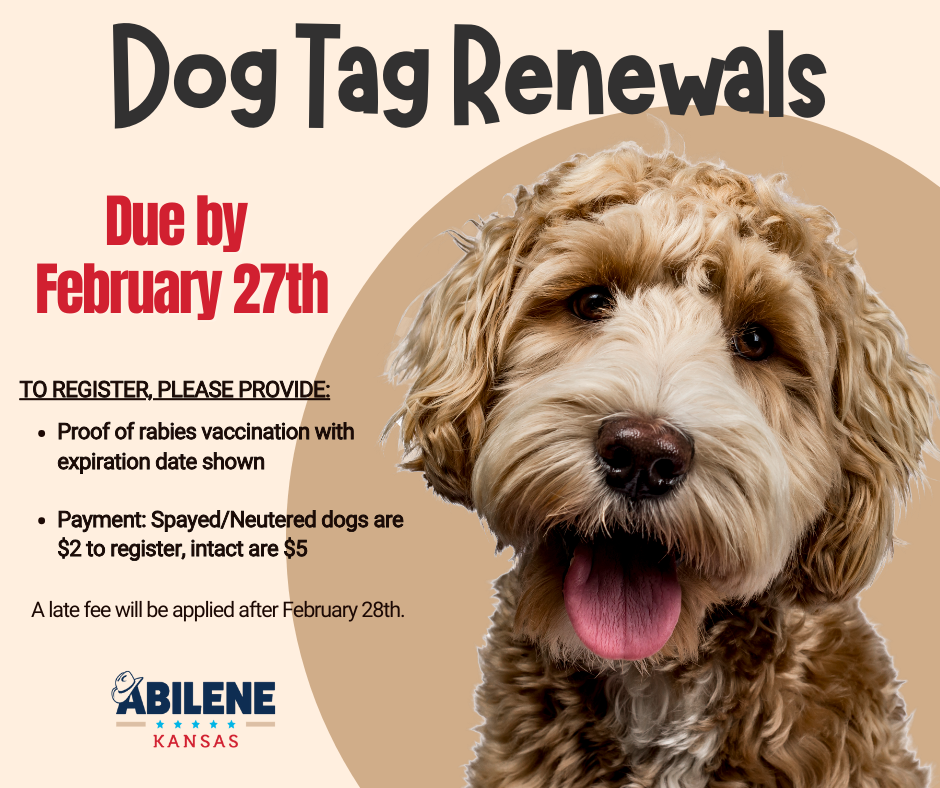 Dog tag renewals due by February 27. Graphic shows a dog with registration requirements and fees.