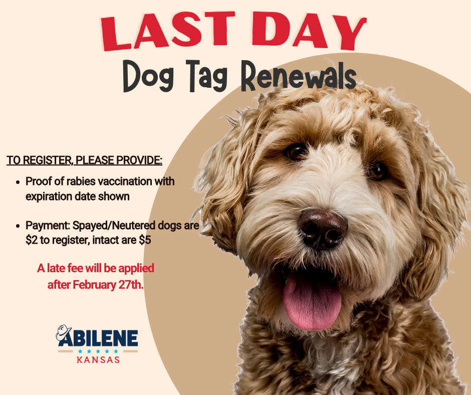 Dog tag renewal reminder graphic noting last day and late fee after February 27.